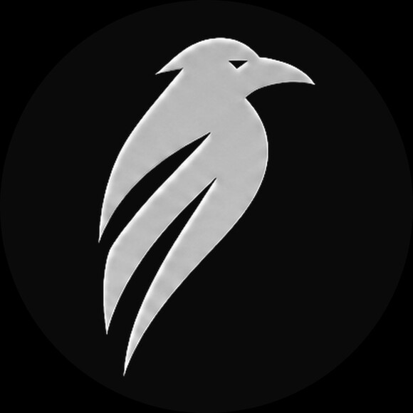 ravenlyx_llc